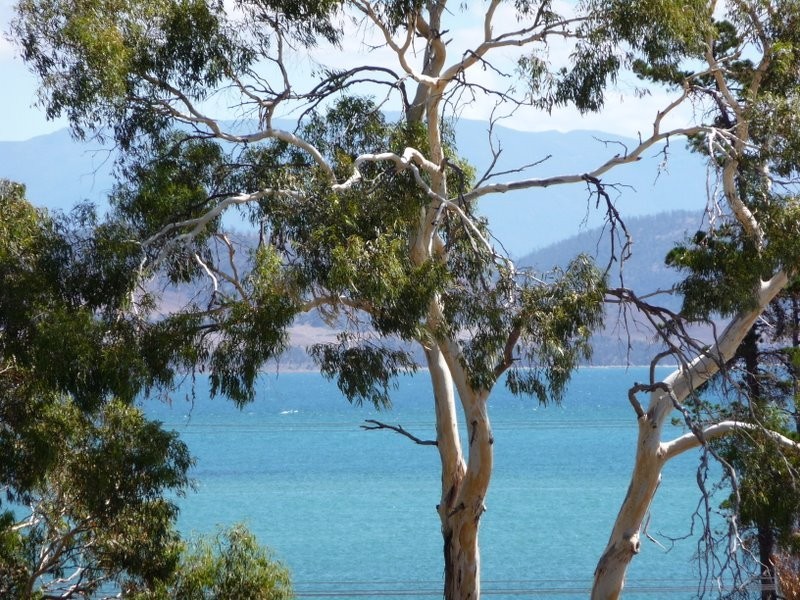 5 Paneminner Street, Dodges Ferry TAS 7173