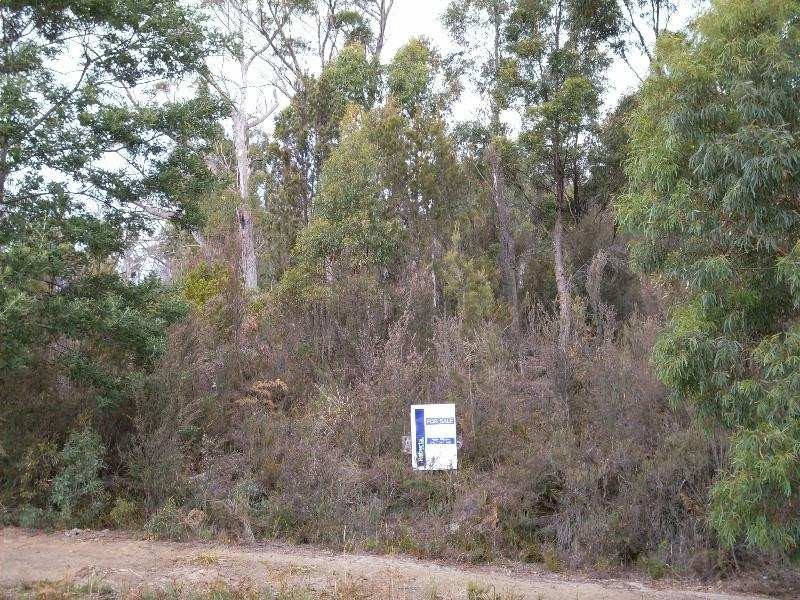 82 Lagoon Road, White Beach TAS 7184