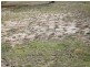 Lot 3, 168 Sommers Bay Road, Murdunna TAS 7178