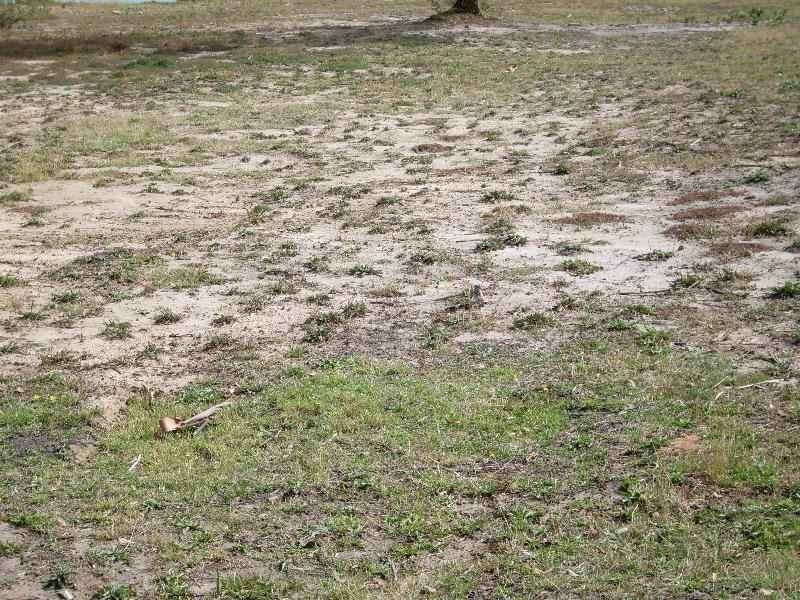 Lot 3, 168 Sommers Bay Road, Murdunna TAS 7178