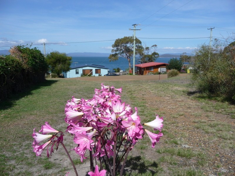 774 Primrose Sands Road, Primrose Sands TAS 7173