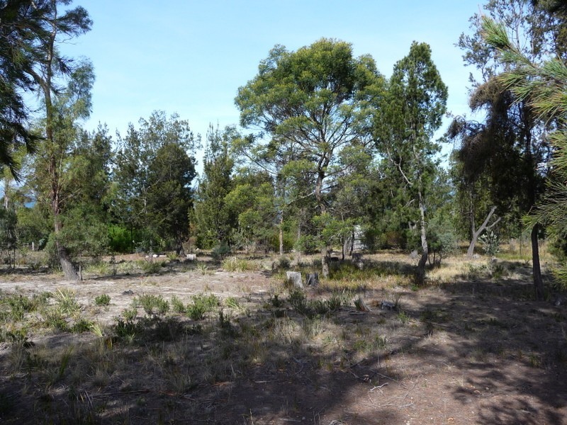 774 Primrose Sands Road, Primrose Sands TAS 7173