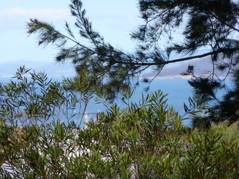 774 Primrose Sands Road, Primrose Sands TAS 7173