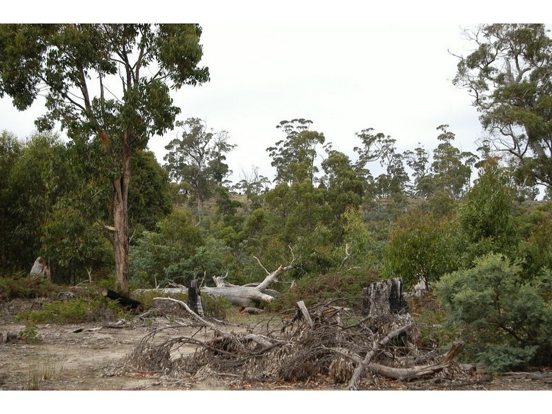 1 Back Levendale Road, Levendale TAS 7120