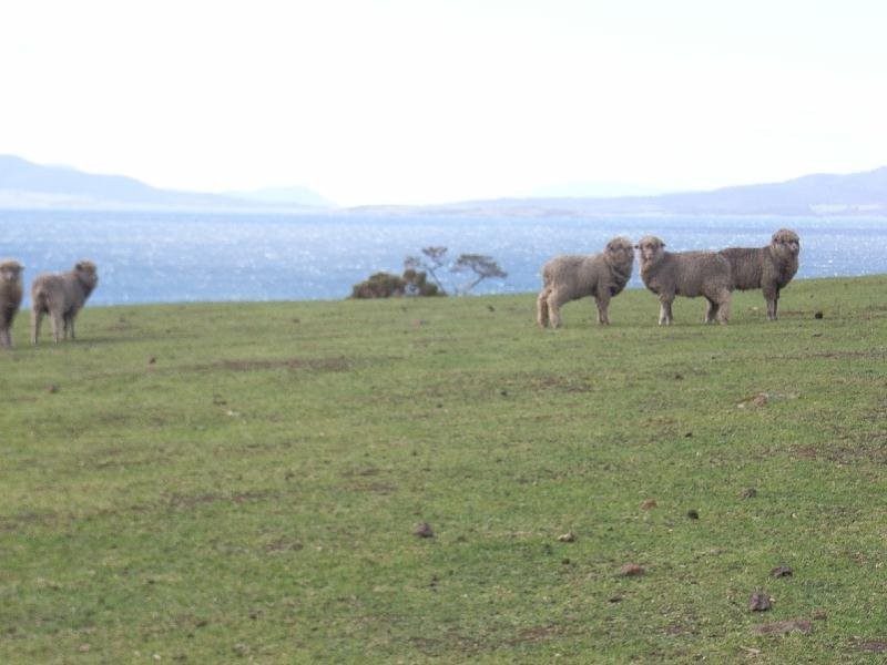 715 Saltwater River Road, Saltwater River TAS 7186