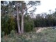 Lot 2 Masons Point Road, Eaglehawk Neck TAS 7179