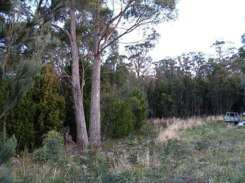 Lot 2 Masons Point Road, Eaglehawk Neck TAS 7179