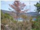 Lot 21 Peace Street, Nubeena TAS 7184