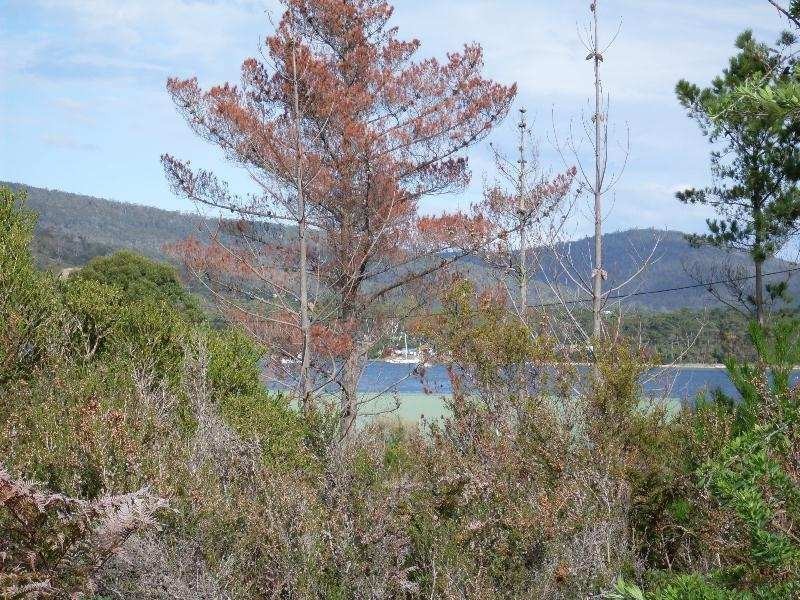 Lot 21 Peace Street, Nubeena TAS 7184