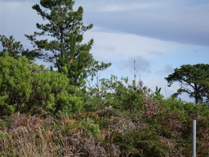 Lot 21 Peace Street, Nubeena TAS 7184