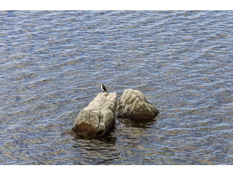 Unit 32-482 Sandy Bay Road, Sandy Bay TAS 7005