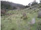 Lot 1  Alderidge Road, Orielton TAS 7172