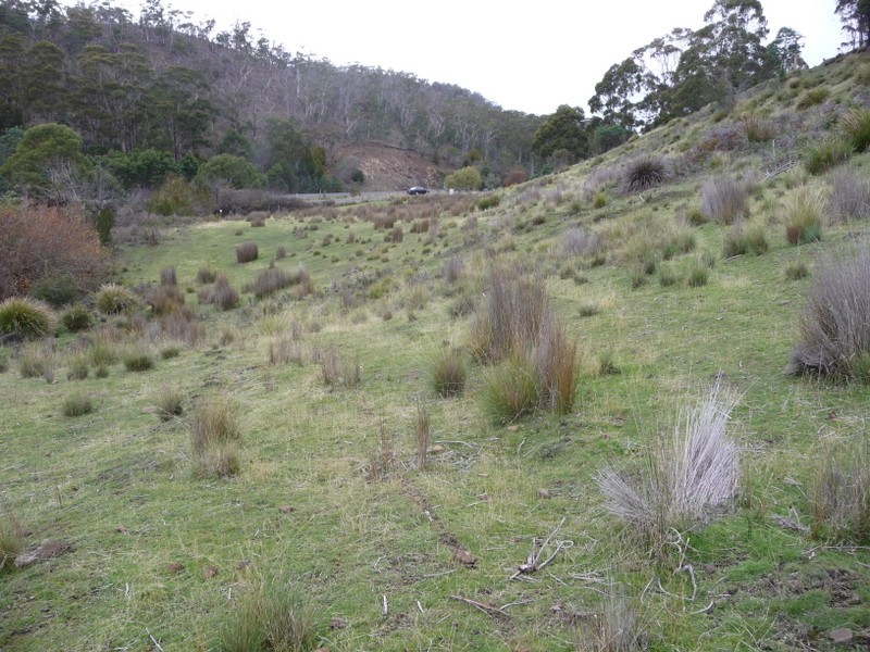 Lot 1  Alderidge Road, Orielton TAS 7172