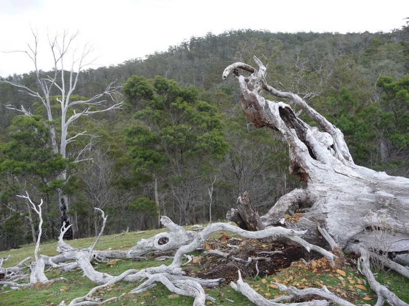 Lot 1  Alderidge Road, Orielton TAS 7172