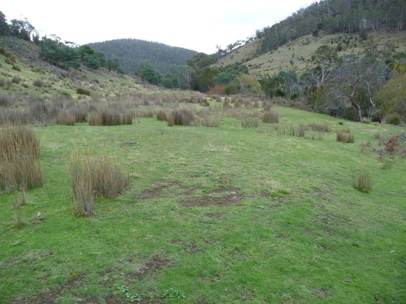 Lot 1  Alderidge Road, Orielton TAS 7172