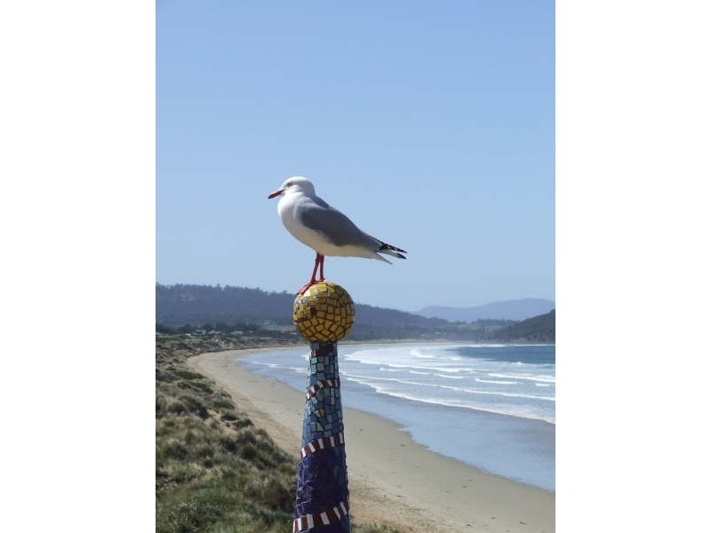 1 Park Beach Road, Dodges Ferry TAS 7173