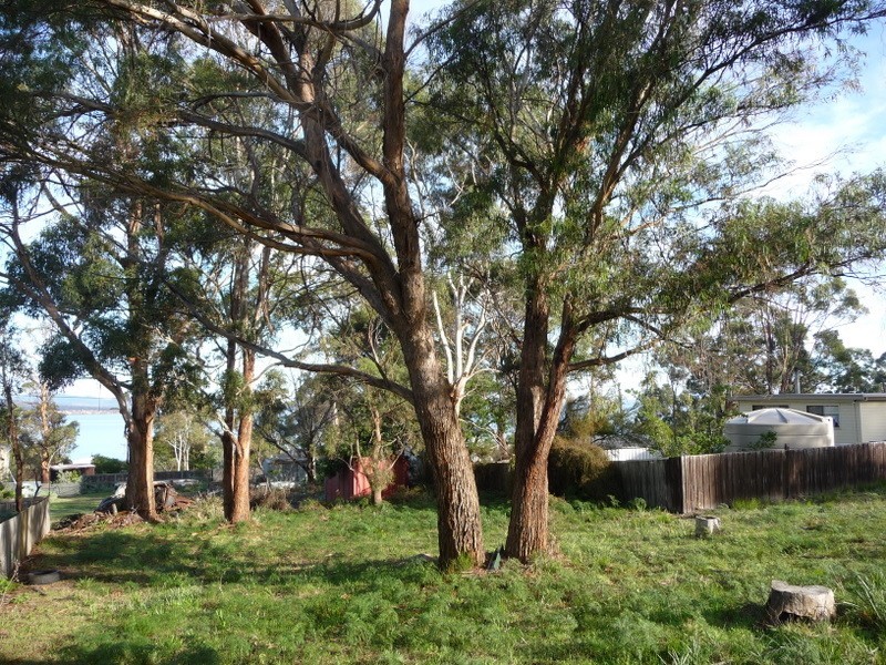 22 Broom Street, Primrose Sands TAS 7173