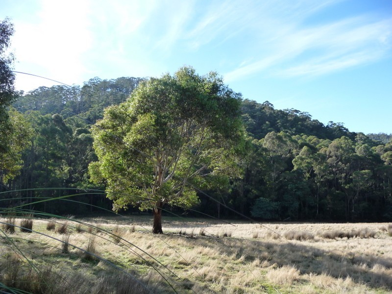 0 Mill Road, Nugent TAS 7172