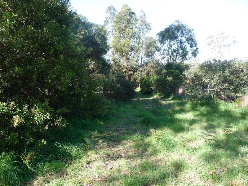 33b Provence Drive, Carlton TAS 7173