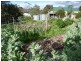 11 Cootamundra Court, Dodges Ferry TAS 7173