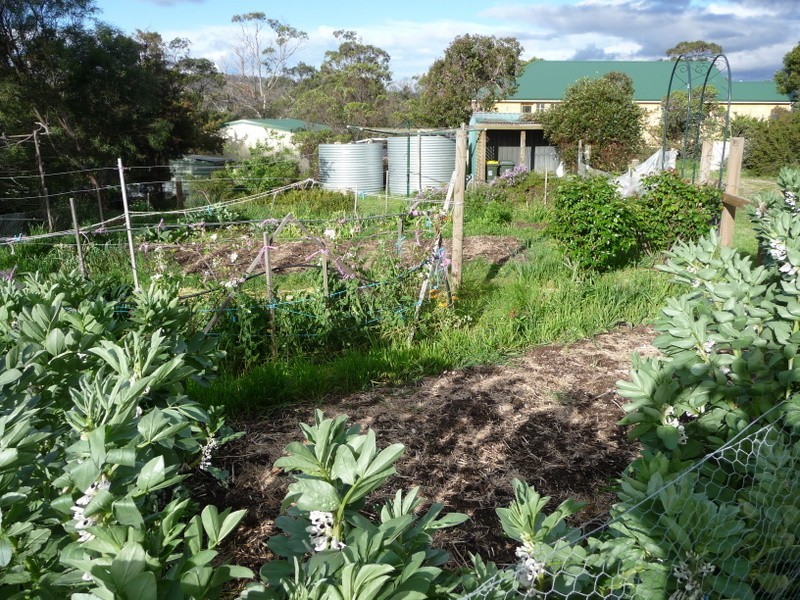11 Cootamundra Court, Dodges Ferry TAS 7173