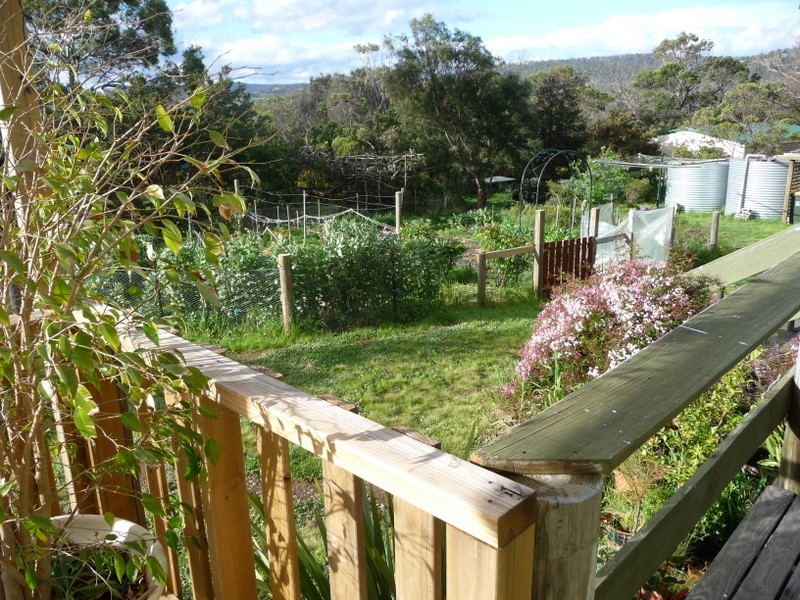 11 Cootamundra Court, Dodges Ferry TAS 7173