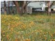 1 Spiraea Street, Primrose Sands TAS 7173
