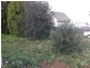 1 Spiraea Street, Primrose Sands TAS 7173