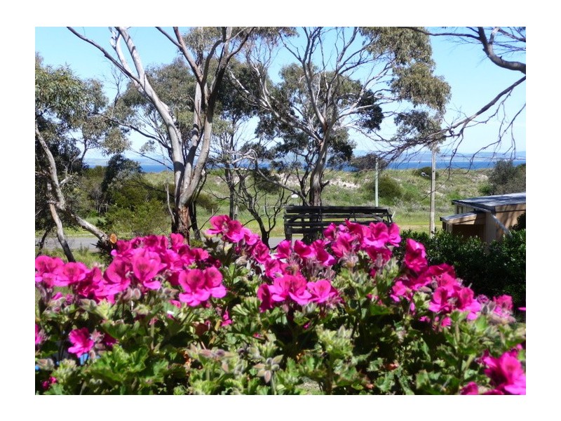 41 Myrica Street, Primrose Sands TAS 7173