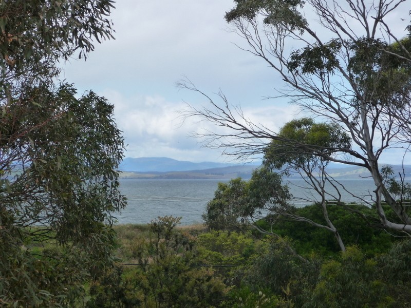 41 Myrica Street, Primrose Sands TAS 7173