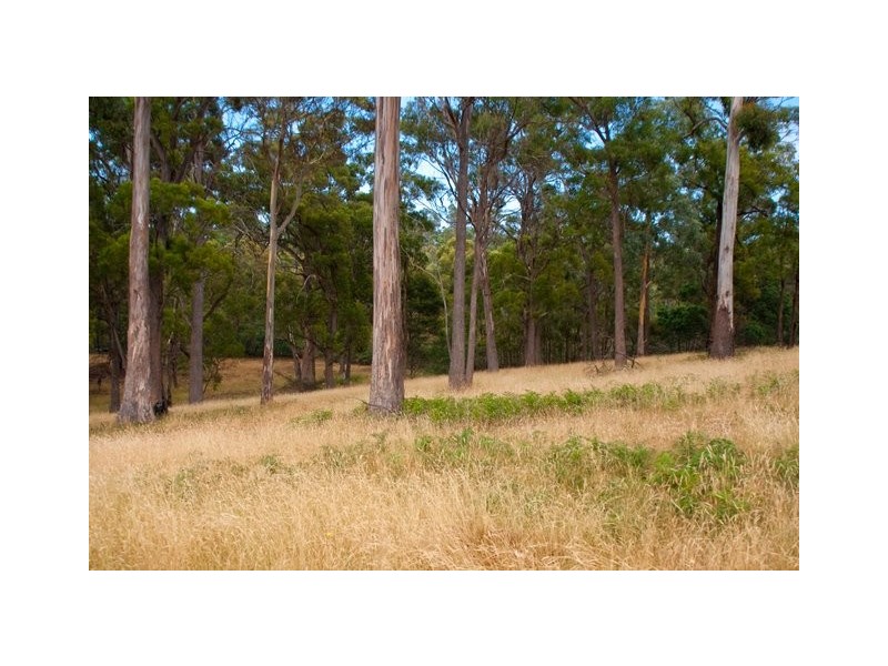 Lots 1-5 Josephs Road, Carlton TAS 7173