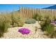 21 Northsun Place, Midway Point TAS 7171