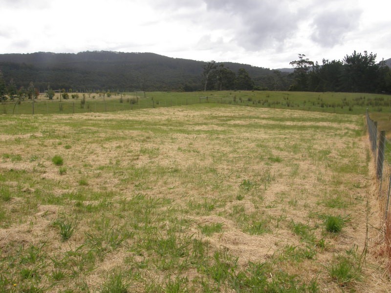 Lot 3 Wencks Road, Port Arthur TAS 7182