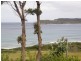 8 Hawks Lane, Eaglehawk Neck TAS 7179