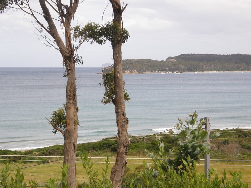 8 Hawks Lane, Eaglehawk Neck TAS 7179