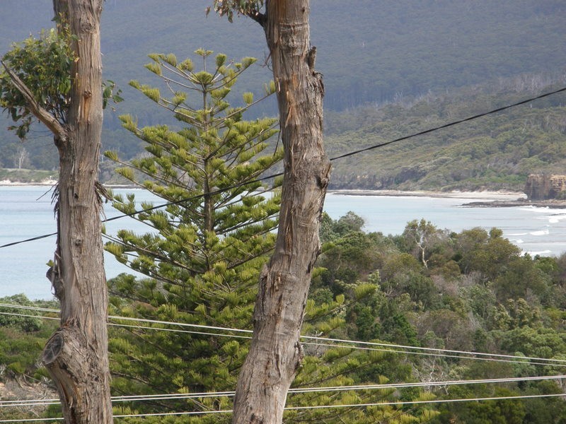 8 Hawks Lane, Eaglehawk Neck TAS 7179