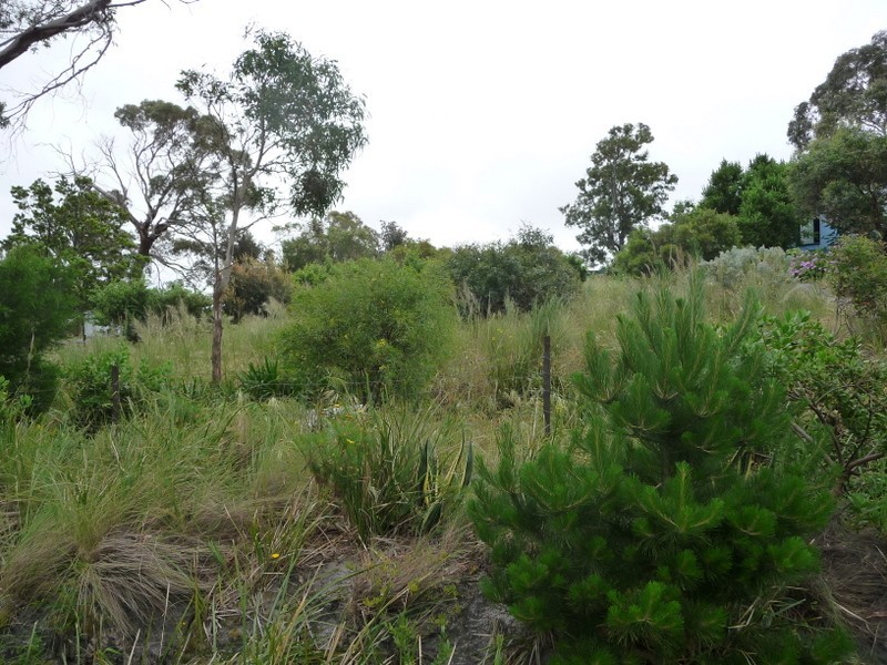 44 Myrica Street, Primrose Sands TAS 7173