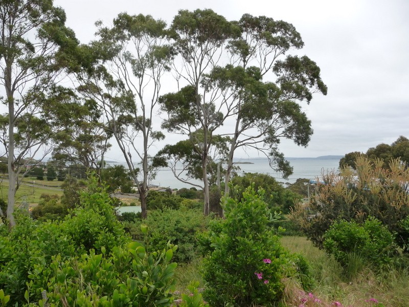 44 Myrica Street, Primrose Sands TAS 7173