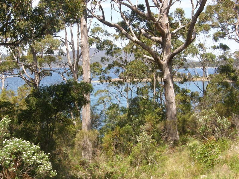 Unit 21 Stewarts Bay Lodge, Port Arthur TAS 7182