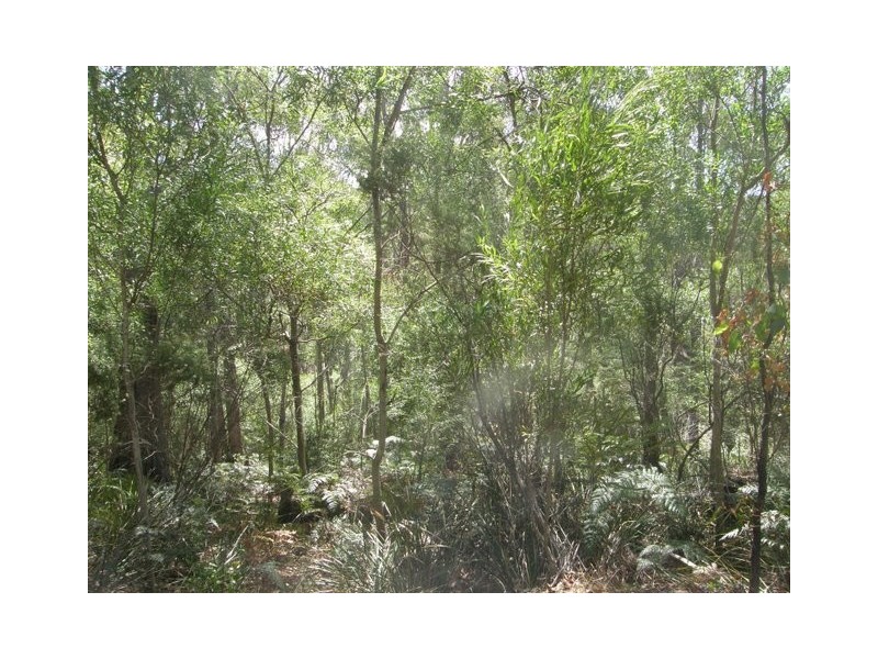 568 Dam Road, Saltwater River TAS 7186