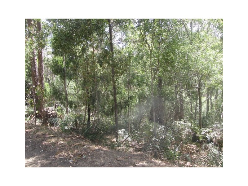 568 Dam Road, Saltwater River TAS 7186