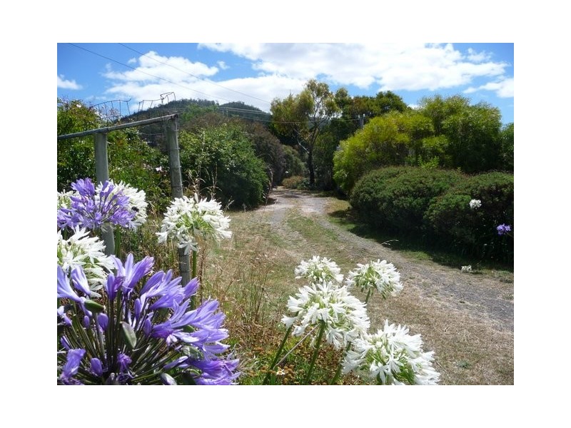 87 Arthur Highway, Dunalley TAS 7177