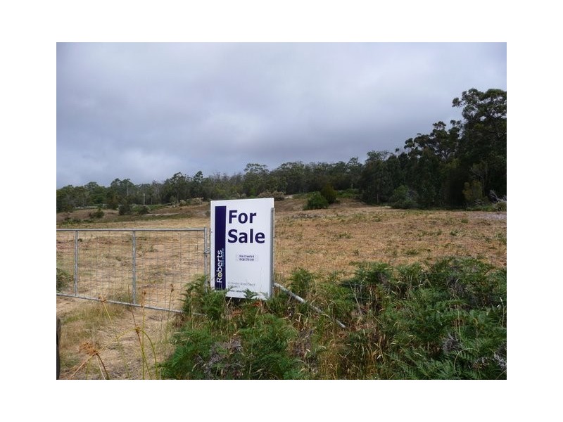 lot 1 Duck Creek Road, Murdunna TAS 7178