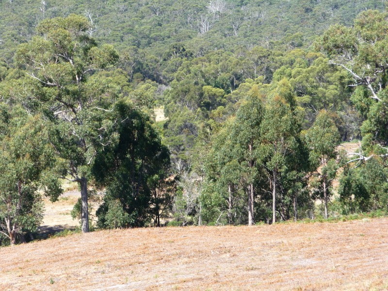 2 Duck Creek Road, Murdunna TAS 7178