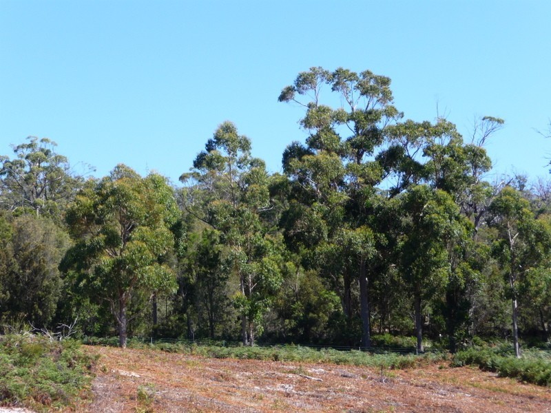 2 Duck Creek Road, Murdunna TAS 7178