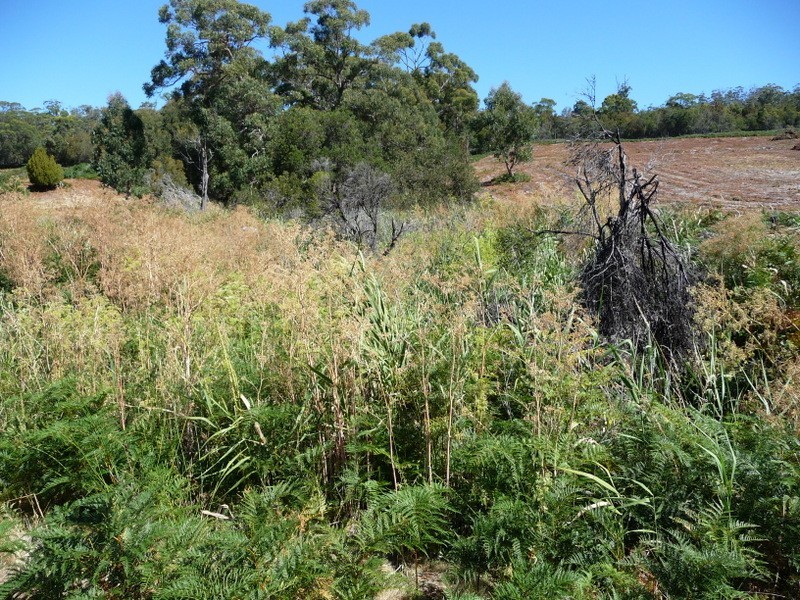 2 Duck Creek Road, Murdunna TAS 7178