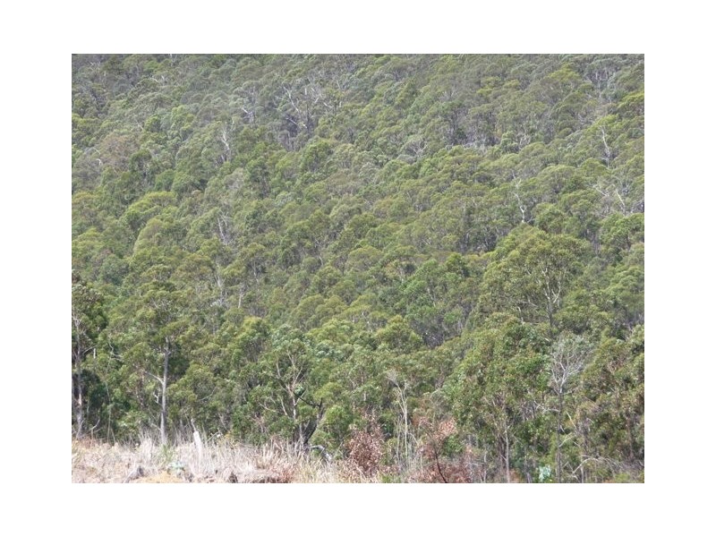 1500 Nugent Road, Nugent TAS 7172