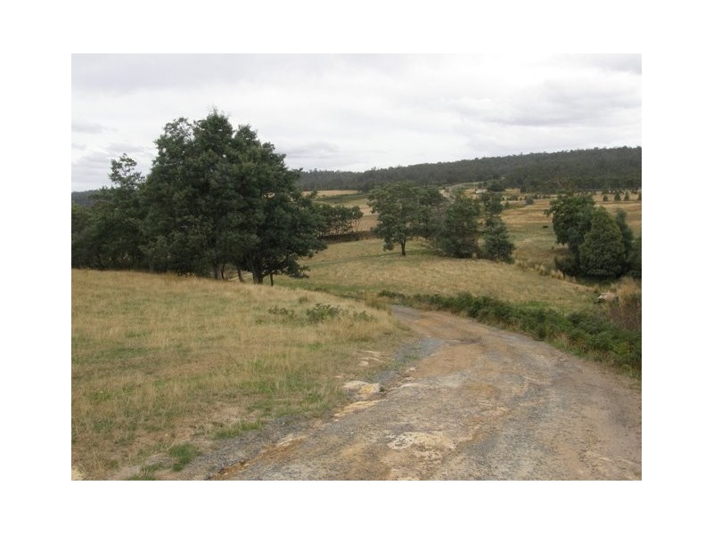 1096 Woodsdale Road, Levendale TAS 7120