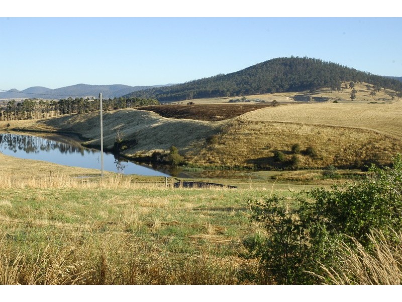 5 Moorpark Court, Forcett TAS 7173