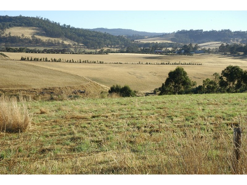 5 Moorpark Court, Forcett TAS 7173